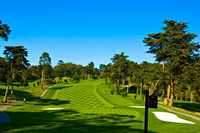Presidio GC: #12