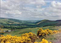 Strathpeffer Golf Club