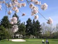 Charbonneau GC - Green/Red
