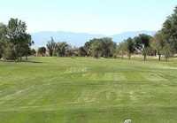 Desert Hawk at Pueblo West