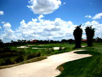 Crooked Cat at Orange County National