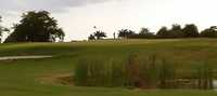 Sugar Cane GC
