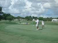 Biltmore: putting green
