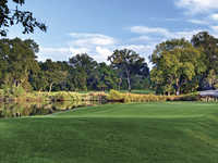 Palmetto Dunes - Arthur Hills #2