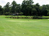 Golden Bear Golf Club