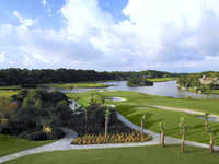Palmetto Dunes - Jones #9