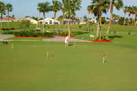 Winston Trails GC: putting green