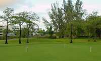 Inverrary CC: putting green
