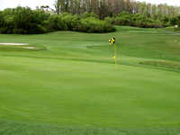 Eastwood GC: #12