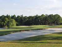 Spruce Creek CC: #11