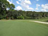 University of South Florida GC - The Claw: #12