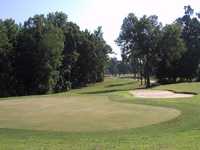 Shannon Greens GC: #2
