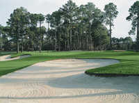 Santee Cooper CC: #1