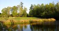 Lakewood Links: #17