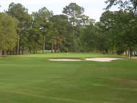 Emerald GC: #16