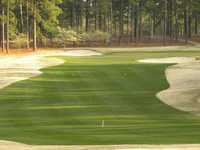 Hyland GC: #11