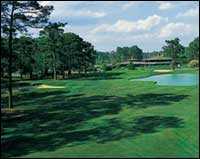 Bay Tree Golf Plantation - Gold