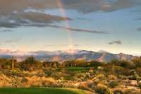 Highlands at Dove Mountain: #7