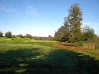 Tall Timber GC: #4