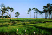 Eagle's Landing: #7