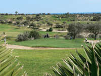 Flamingo GC
