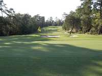 Wedgewood GC: #16