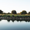 White Wing GC