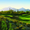 Raptor at Grayhawk