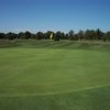 Arrowhead GC: #9