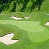 Forest Greens GC
