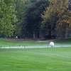 South Shore GC