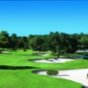 Ranch at Black Diamond RG & CC: #13