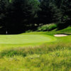 Player at Lyman Orchards GC: #8