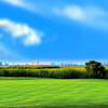 The Bay Course at Seaview Resort