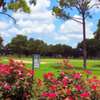 Ft. Bend CC: #1