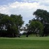 The Ponds GC: the chipping green