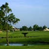 Colony Creek CC