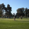 Buchanan Fields GC