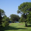 Majestic Oaks GC - Executive: #9