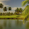 Dorado del Mar Beach & Golf Resort