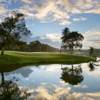 Plantation Club - Pineapple