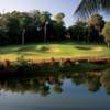 Plantation Club - Sugar Cane
