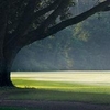 Copperdale GC