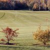 Chippewa Creek G & CC - Red Falcon