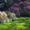 Corfu GC