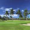 Hawaii Prince GC - A Nine: #9
