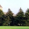 Briar Fox G & CC: #16