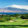 Wailea - Old Blue