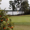 Polo Park East GC