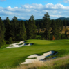 Circling Raven GC: #12